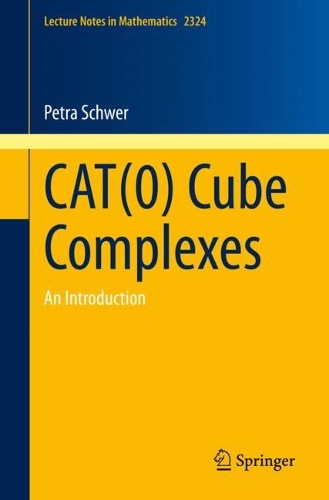 [object Object] «CAT(0) Cube Complexes: An Introduction», автор Петра Швер - фото №1