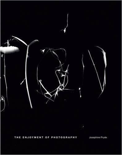 Бумажная книга «Josephine Pryde: The Enjoyment of Photography», авторов Мелани Гиллиган, Рея Анастас - фото №1