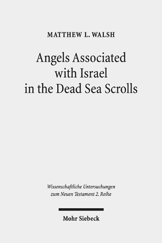 Бумажная книга «Angels Associated with Israel in the Dead Sea Scrolls: Angelology and Sectarian Identity at Qumran», автор Мэтью Л. Уолш - фото №1