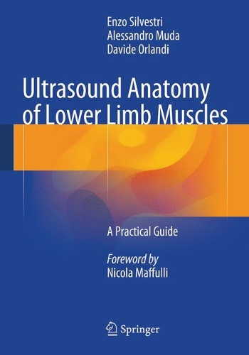 Бумажная книга «Ultrasound Anatomy of Lower Limb Muscles: A Practical Guide», авторов Алессандро Муда, Давиде Орланди, Энцо Сильвестри - фото №1