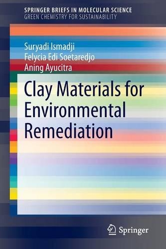 Паперова книга «Clay Materials for Environmental Remediation», авторів Анінг Аючітра, Фелісія Еді Соетареджо, Суріаді Ісмаджі - фото №1