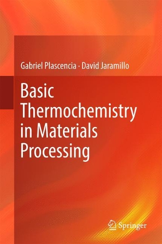 Бумажная книга «Basic Thermochemistry in Materials Processing», авторов Дэвид Харамильо, Габриэль Пласенсия - фото №1
