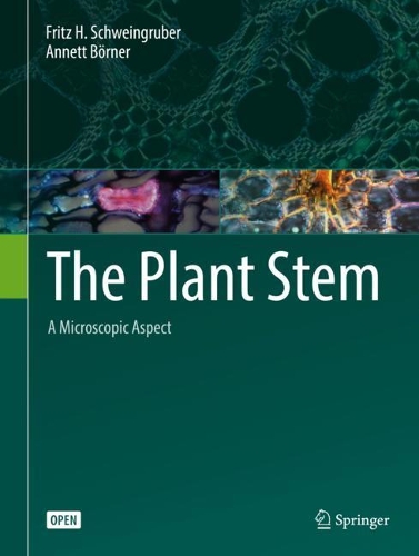 Бумажная книга «The Plant Stem: A Microscopic Aspect», авторов Аннет Бёрнер, Фриц Ханс Швайнгрубер - фото №1