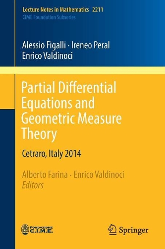 Бумажная книга «Partial Differential Equations and Geometric Measure Theory: Cetraro, Italy 2014», авторов Алессио Фигалли, Энрико Вальдиночи - фото №1