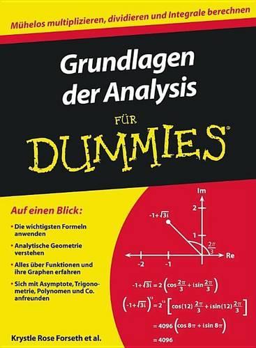 Паперова книга «Grundlagen der Analysis für Dummies», авторів Крістофер Бюргер, Дебора Дж. Рамсі, Крістл Роуз Форсет, Мішель Роуз Гілман - фото №1