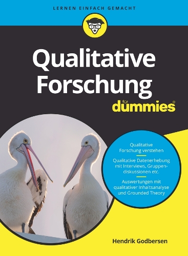[object Object] «Qualitative Forschung für Dummies», автор Хендрик Годберсен - фото №1