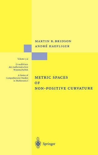 [object Object] «Metric Spaces of Non-Positive Curvature», авторов Андре Хефлигер, Мартин Р. Бридсон - фото №1
