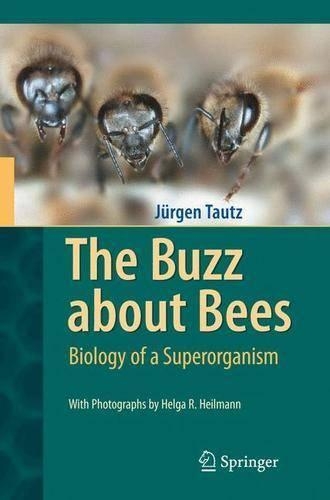 Бумажная книга «The Buzz about Bees: Biology of a Superorganism», автор Юрген Таутц - фото №1