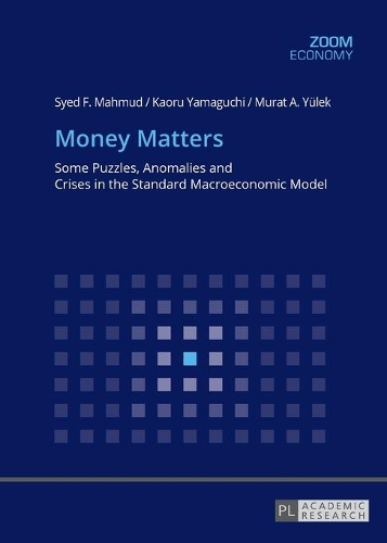 Паперова книга «Money Matters: Some Puzzles, Anomalies and Crises in the Standard Macroeconomic Model», автор Каору Ямагучі - фото №1