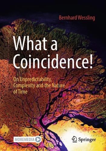 Паперова книга «What a Coincidence!: On Unpredictability, Complexity and the Nature of Time», автор Бернхард Весслінг - фото №1