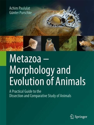 Паперова книга «Metazoa – Morphology and Evolution of Animals: A Practical Guide to the Dissection and Comparative Study of Animals», автор Гюнтер Пуршке - фото №1