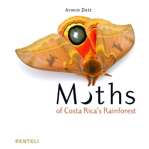 Бумажная книга «Moths of Costa Rica's Rainforest», авторов Армин Детт, Макс Шмид - фото №1
