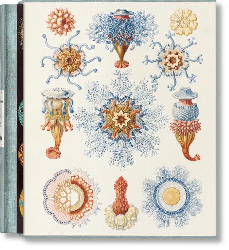 Бумажная книга «The Art and Science of Ernst Haeckel», автор Джулия Восс - фото №1