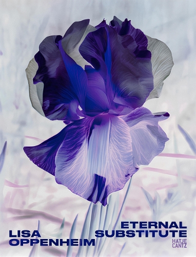 Бумажная книга «Lisa Oppenheim: Eternal Substitute», авторов Дарси Александр, Джейкоб Проктор - фото №1