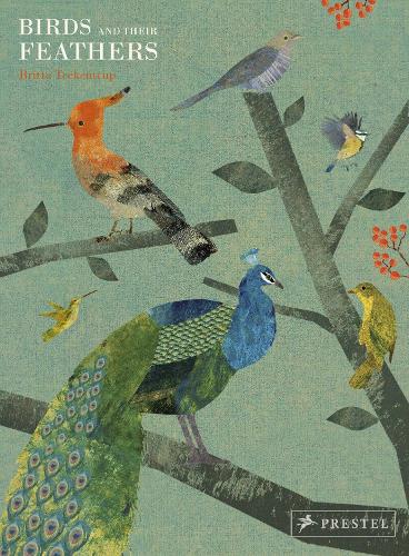 Паперова книга «Birds and Their Feathers», автор Britta Teckentrup - фото №1
