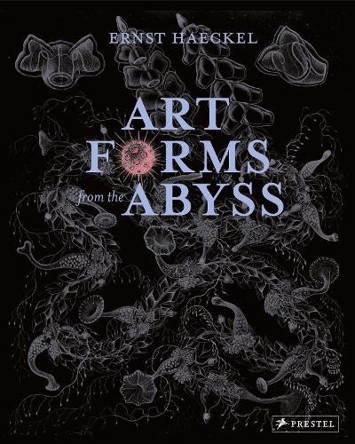 Бумажная книга «Art Forms from the Abyss: Ernst Haeckel's Images From The HMS Challenger Expedition», авторов Дэвид Дж. Робертс, Дэвид Томас, Дилан У. Эванс, Питер Дж. Ле Б Уильямс - фото №1