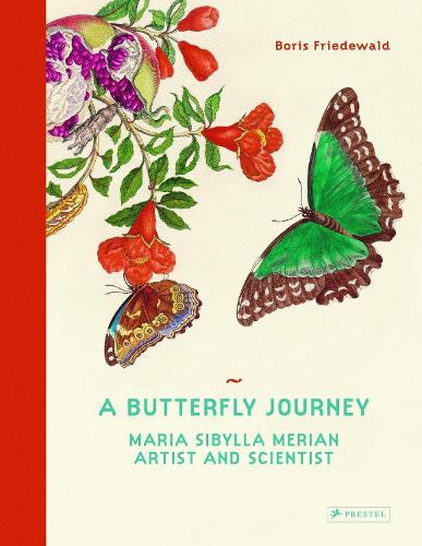 Бумажная книга «A Butterfly Journey: Maria Sibylla Merian. Artist and Scientist», автор Борис Фридевальд - фото №1