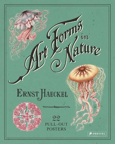 Бумажная книга «Ernst Haeckel: Art Forms in Nature: 22 Pull-Out Posters», автор Эрнст Геккель - фото №1