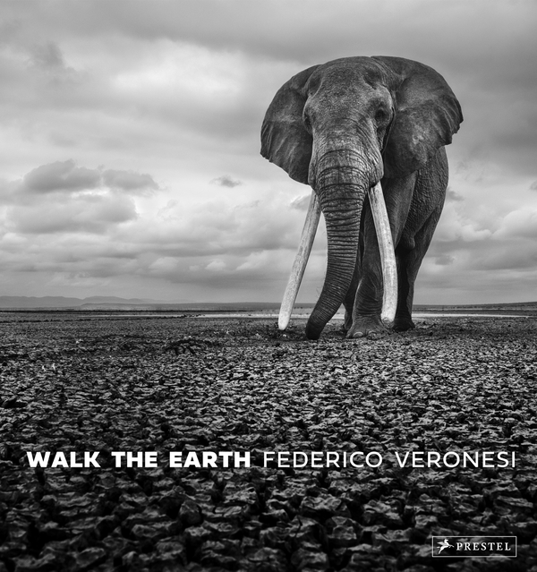 Паперова книга «Walk the Earth: Photographs of Africa's Last Great Elephants», автор Федеріко Веронезі - фото №1