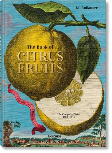 Бумажная книга «J. C. Volkamer. Citrus Fruits», автор Айрис Лаутербах - фото №1