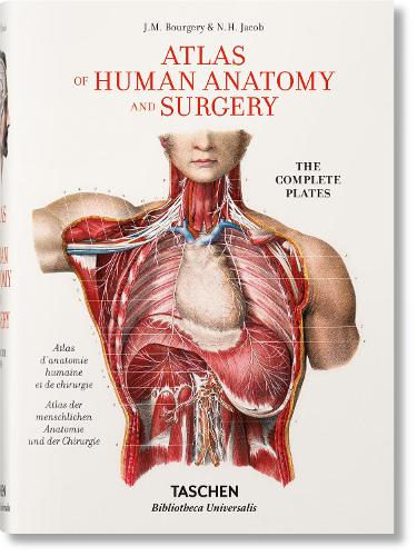Бумажная книга «Bourgery. Atlas de anatomía humana y cirugía» - фото №1