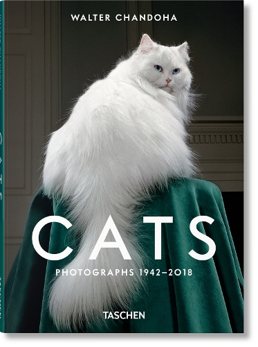 Паперова книга «Walter Chandoha. Cats. Photographs 1942–2018», автор Сьюзен Міхалс - фото №1