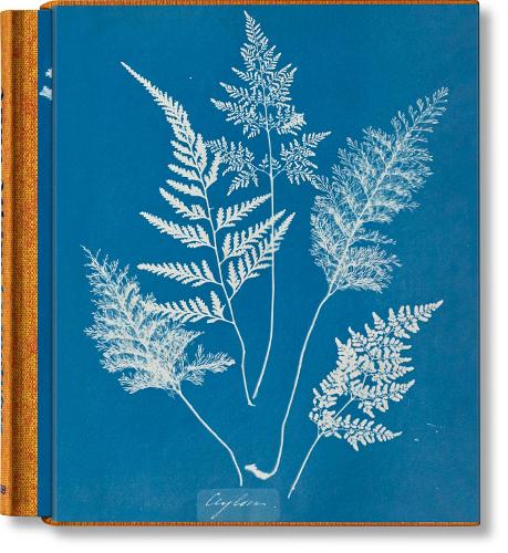 Бумажная книга «Anna Atkins. Cyanotypes», автор Питер Вальтер - фото №1