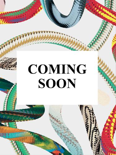Паперова книга «Edward S. Curtis. The North American Indian. The Complete Portfolios», автор Пітер Вальтер - фото №1