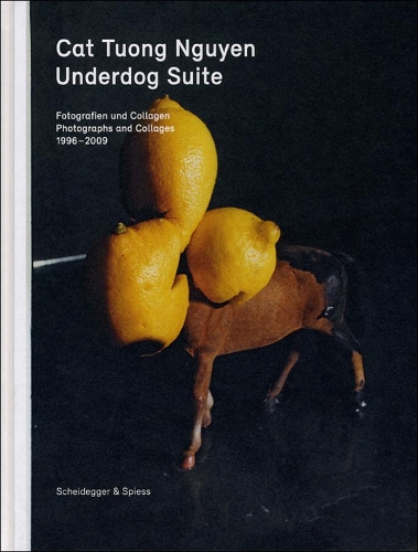 Паперова книга «Underdog Suite: Photographs and Collages 1998-2009», авторів Буркхард Мельцер, Кет Туонг Нгуєн, Надін Олонецький - фото №1