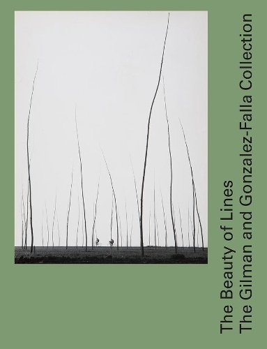 Бумажная книга «The Beauty of Lines: The Gilman and Gonzalez-Falla Collection», авторов Полина Мартин, Татьяна Франк - фото №1