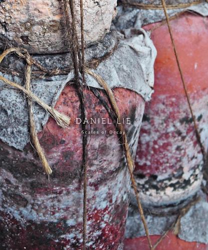 Бумажная книга «Daniel Lie: Scales of Decay», авторов Кристоф Таннерт, Даниэла Лейкам - фото №1