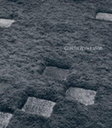 Бумажная книга «Cerith Wyn Evans», авторов Ханс Ульрих Обрист, Хелен Сиксу - фото №1
