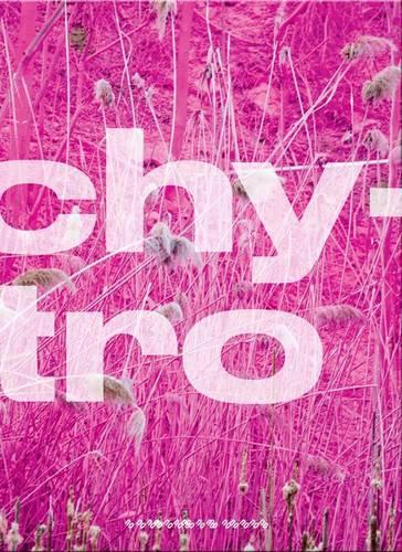 Паперова книга «Katharina Grosse: Psychylustro», автор Ентоні Елмс - фото №1