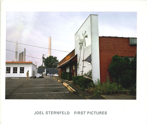 Паперова книга «Joel Sternfeld: First Pictures», автор Джоел Стернфельд - фото №1
