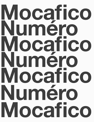 Паперова книга «Guido Mocafico: Mocafico Numéro», автор Гвідо Мокафіко - фото №1