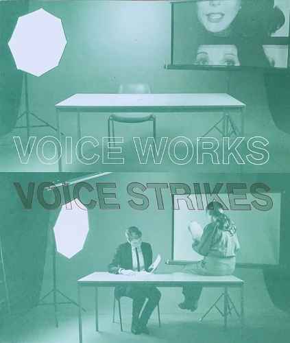 Бумажная книга «Voice works - Voice Strikes», авторов Фиона Макговерн, Керстин Хонейт - фото №1