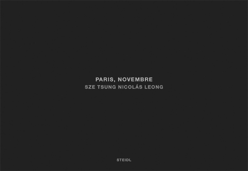 Бумажная книга «Sze Tsung Nicolas Leong: Paris, Novembre», автор Се Цун Николас Леонг - фото №1