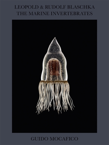 Паперова книга «Guido Mocafico: Leopold & Rudolf Blaschka. The Marine Invertebrates», автор Гвідо Мокафіко - фото №1