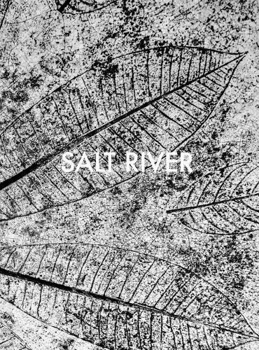 Бумажная книга «Sebastian Posingis: Salt River», автор Себастьян Посингес - фото №1