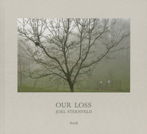 Паперова книга «Joel Sternfeld: Our Loss», авторів Хольгер Ферудж, Джоел Стернфельд, Steidl Design - фото №1