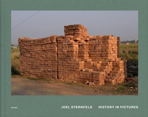 Бумажная книга «Joel Sternfeld: History in Pictures», автор Джоэл Штернфельд - фото №1