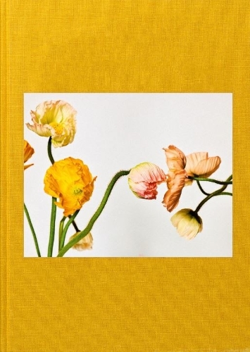 Бумажная книга «Michel Comte: Garden of Beauty: Combining Worlds with Flowers», авторов Йенс Ремес, Мишель Комт - фото №1
