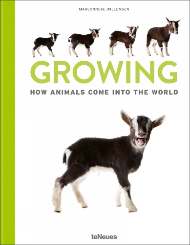Бумажная книга «Growing: How animals come into our world», автор Марлоннеке Виллемсен - фото №1