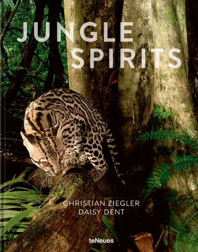 Бумажная книга «Jungle Spirits», авторов Кристиан Зиглер, Дэйзи Дент - фото №1