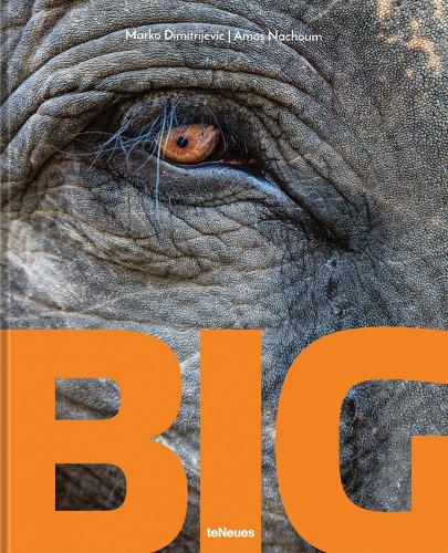 Бумажная книга «Big: A Photographic Album of the World's Largest Animals», авторов Амос Начум, Марко Димитриевич - фото №1