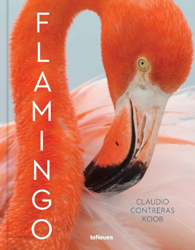 Паперова книга «Flamingo», автор Клаудіо Контрерас Куб - фото №1