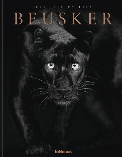 Бумажная книга «Beusker: Look into my Eyes», автор Ларс Беускер - фото №1