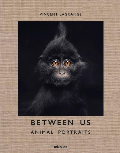 Бумажная книга «Between Us: Animal Portraits» - фото №1