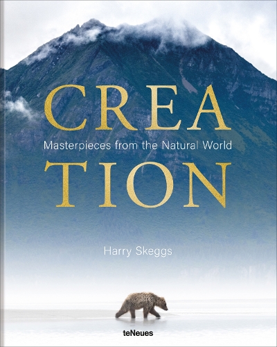 Бумажная книга «Creation: Masterpieces from the Natural World» - фото №1