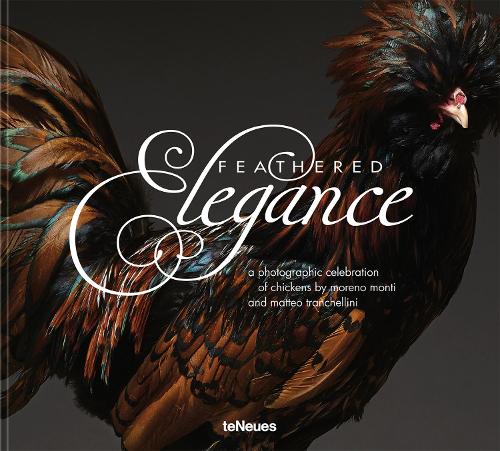 Бумажная книга «Feathered Elegance: A Photographic Celebration of Chickens», авторов Маттео Транчеллини, Морено Монти - фото №1